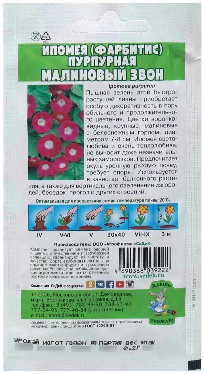 Семена Цветок Ипомея 