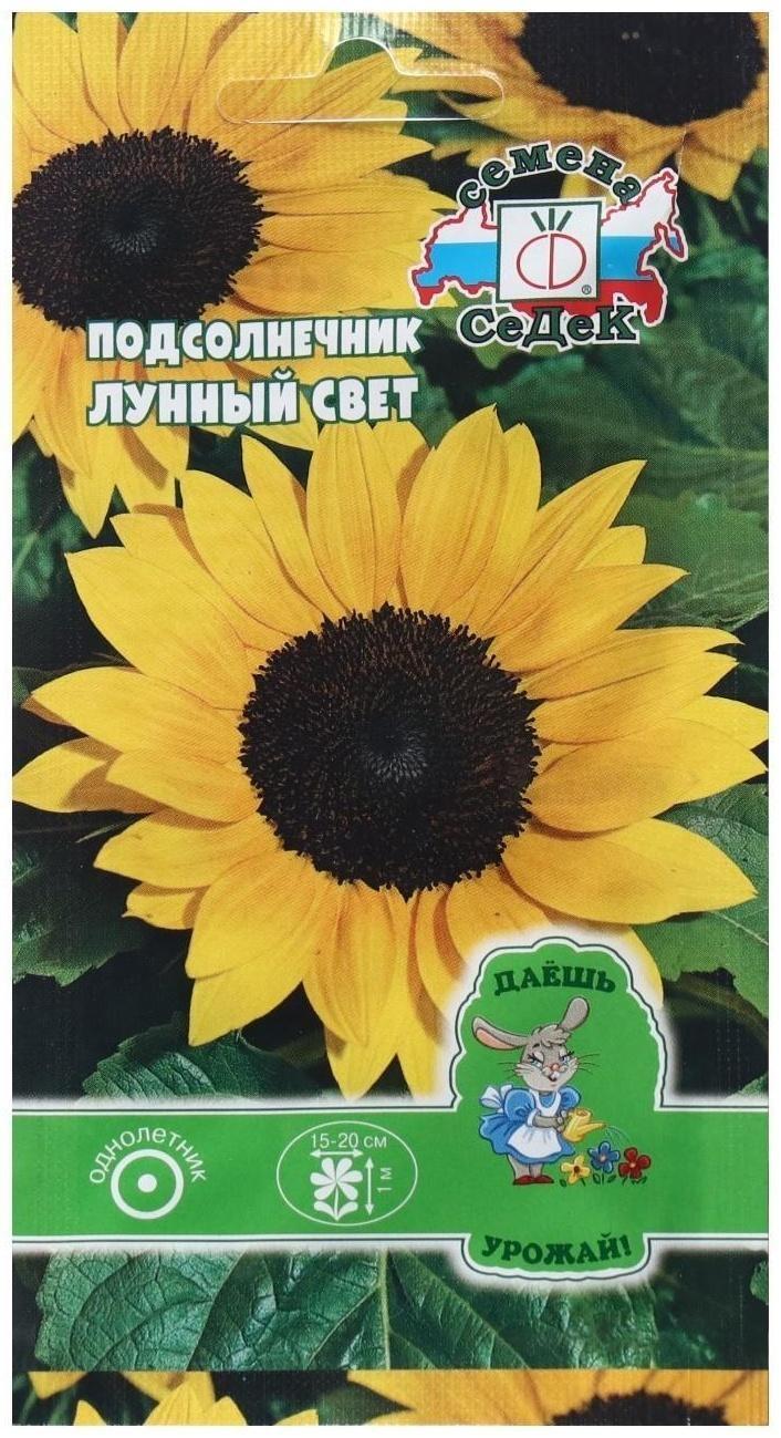 Семена Цветок Подсолнечник 