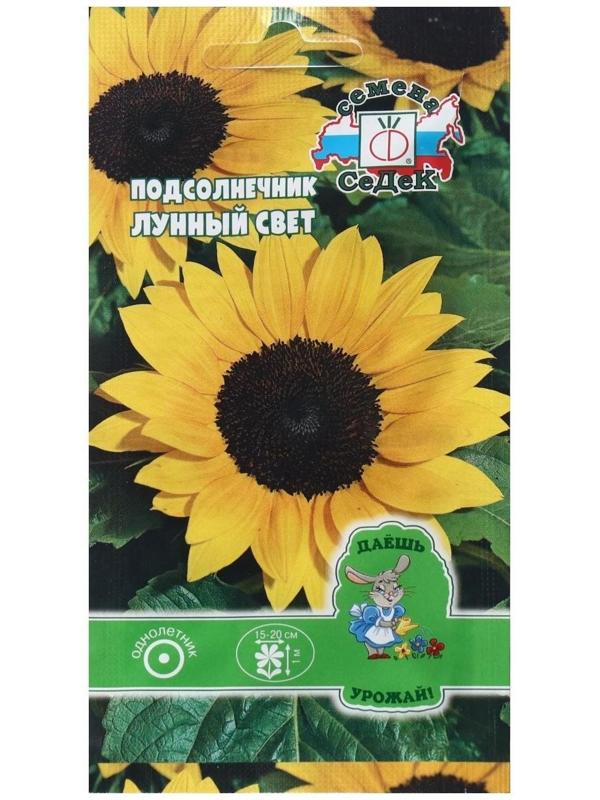 Семена Цветок Подсолнечник 