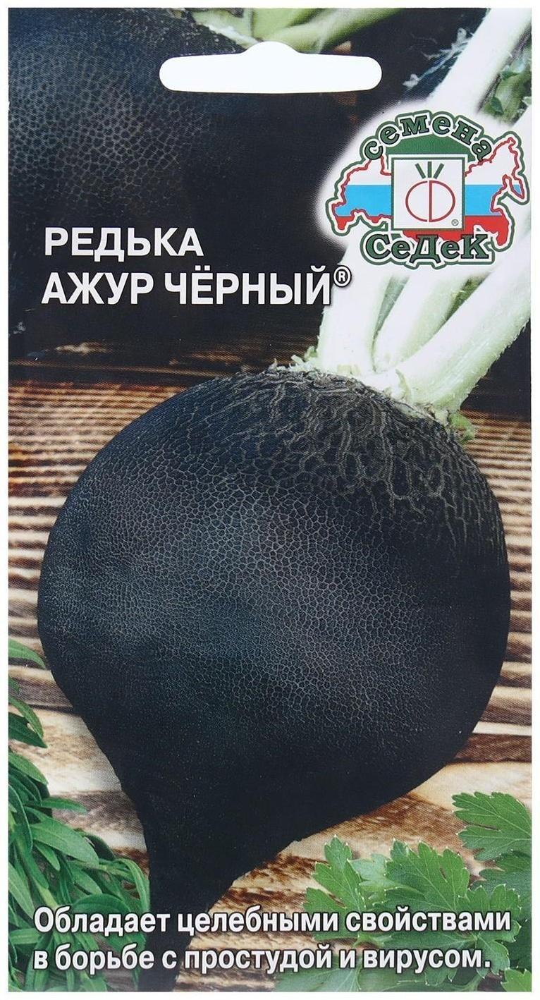 Семена Редька  