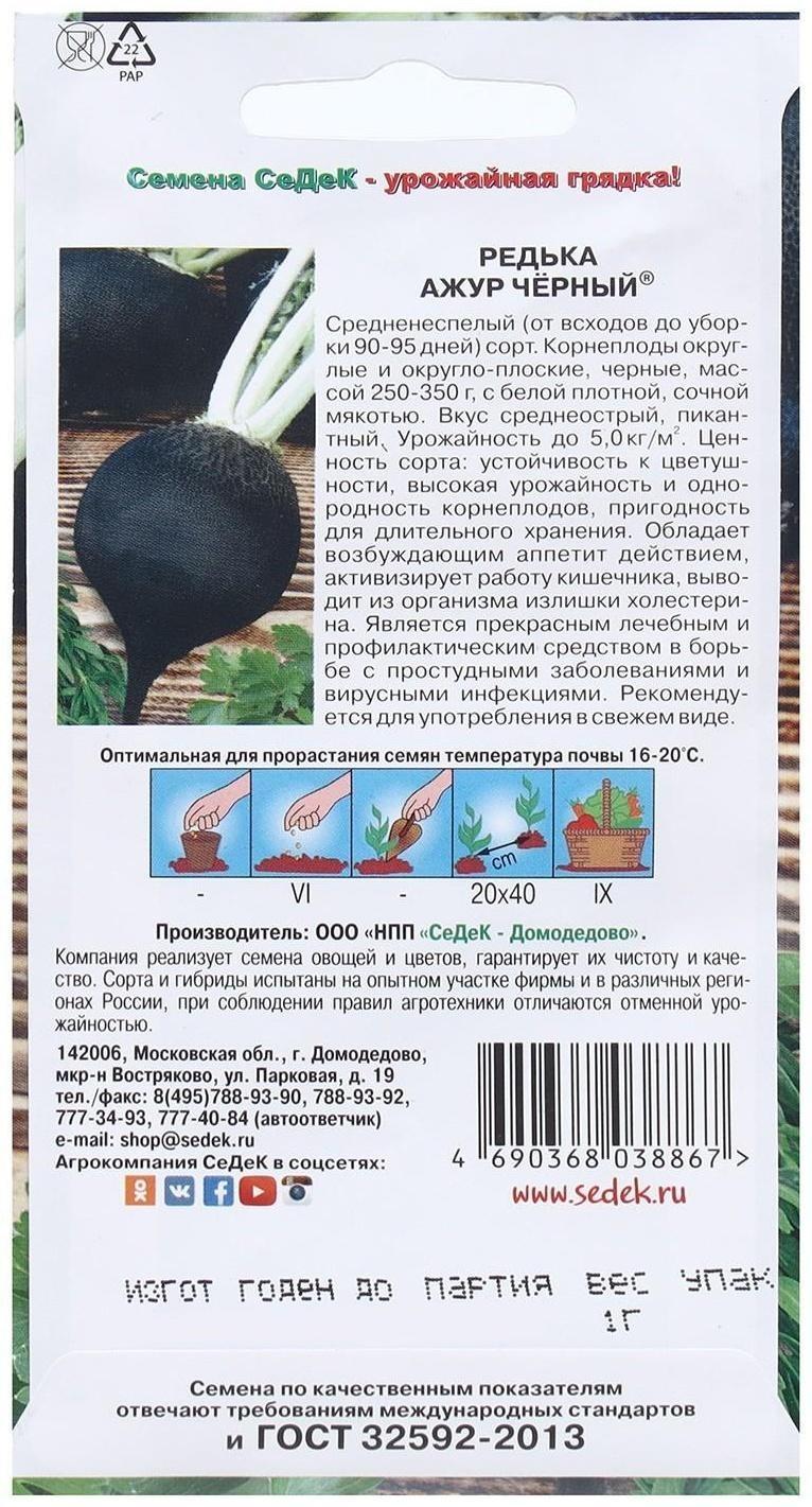 Семена Редька  