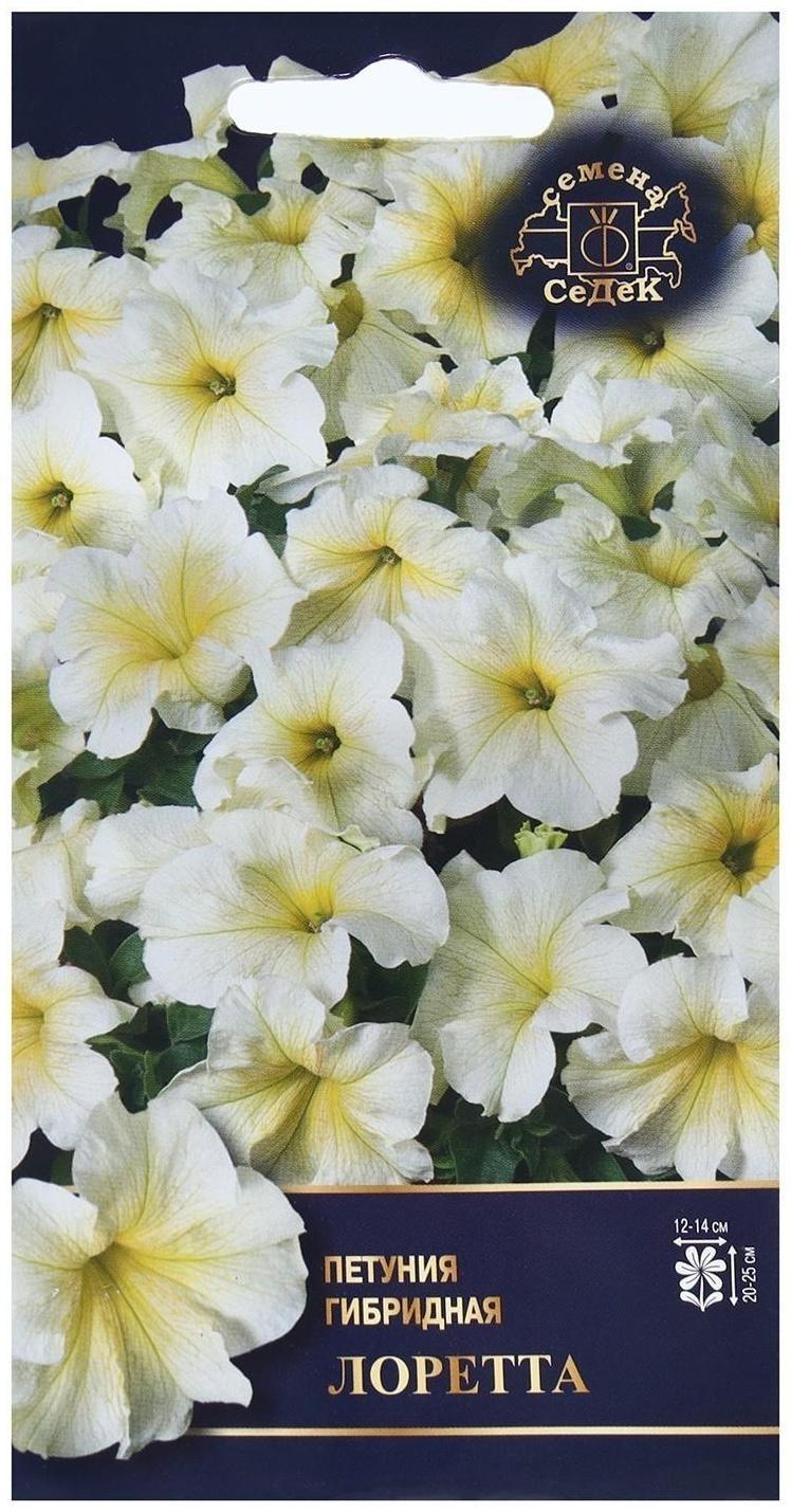 Семена Цветок Петуния 