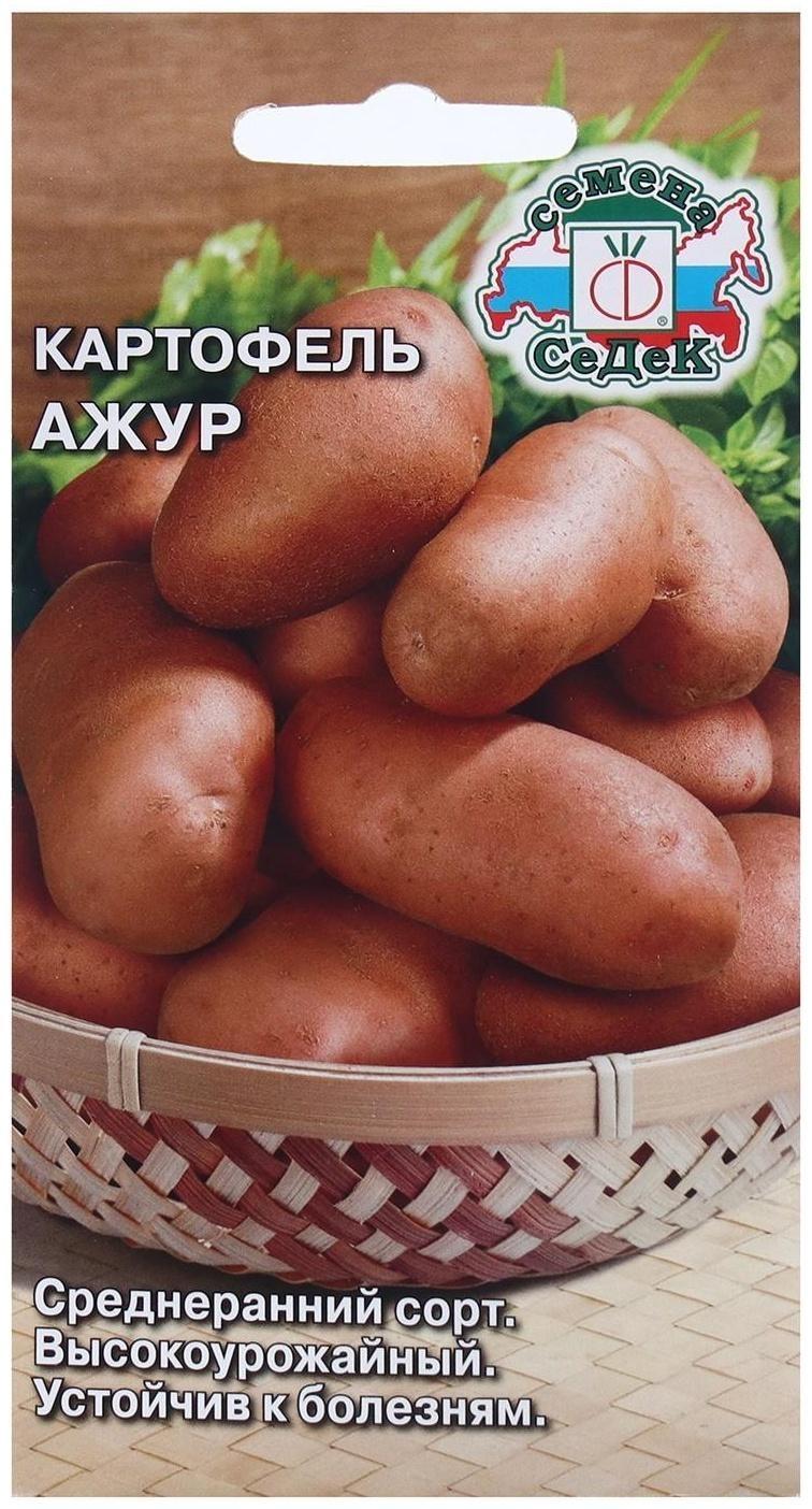 Семена Картофель  