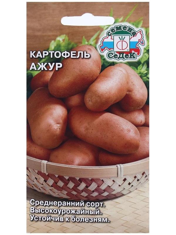 Семена Картофель  