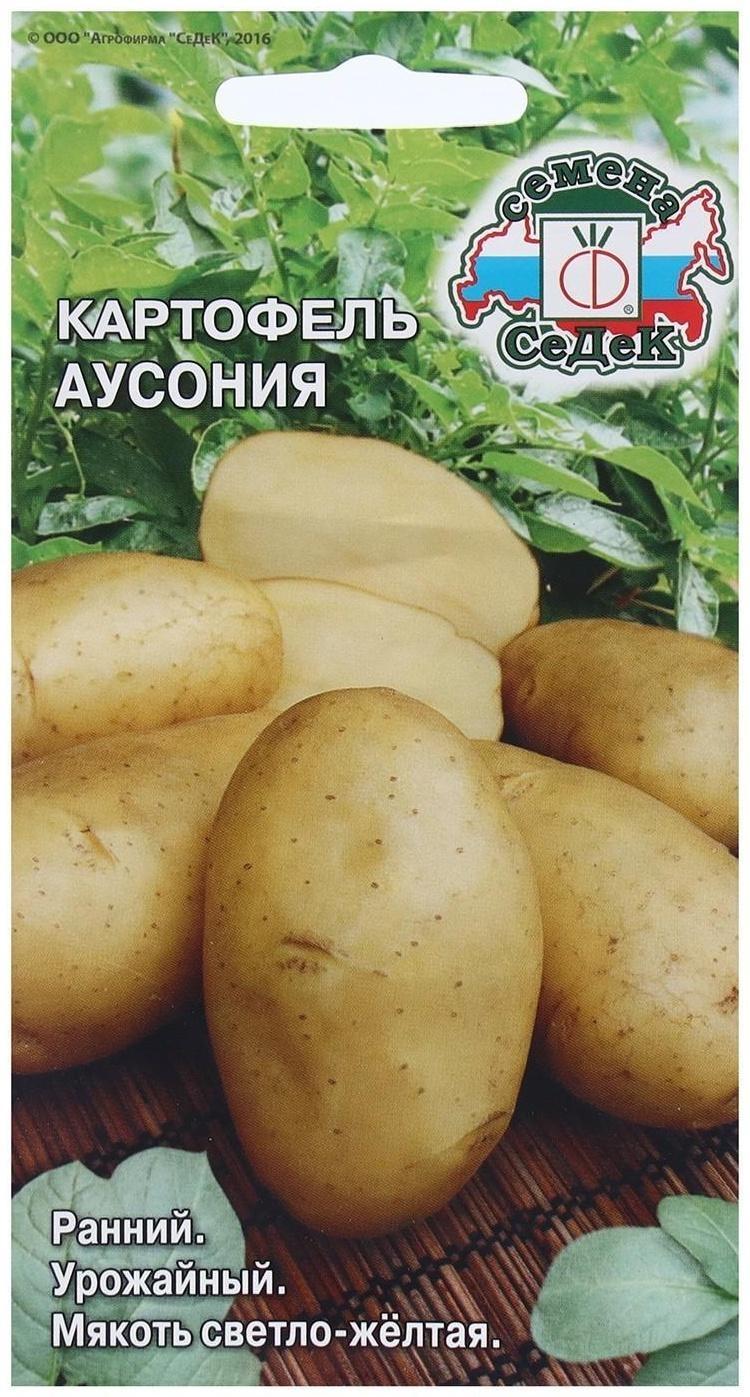Семена Картофель  
