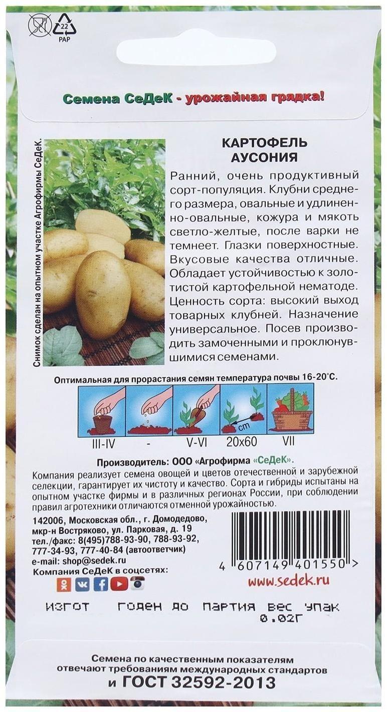 Семена Картофель  