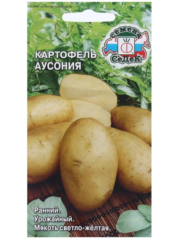 Семена Картофель  