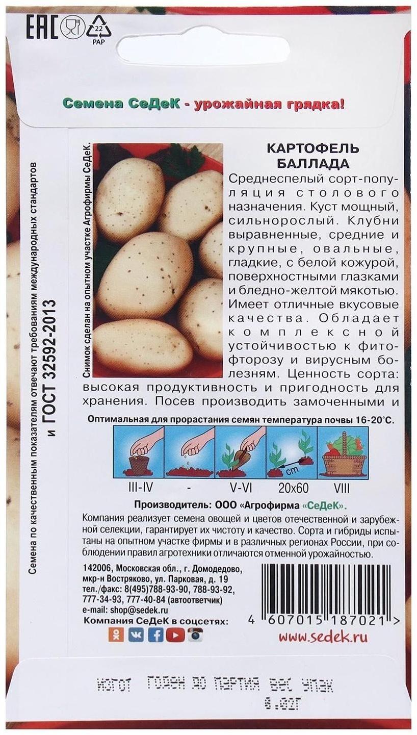 Семена Картофель  