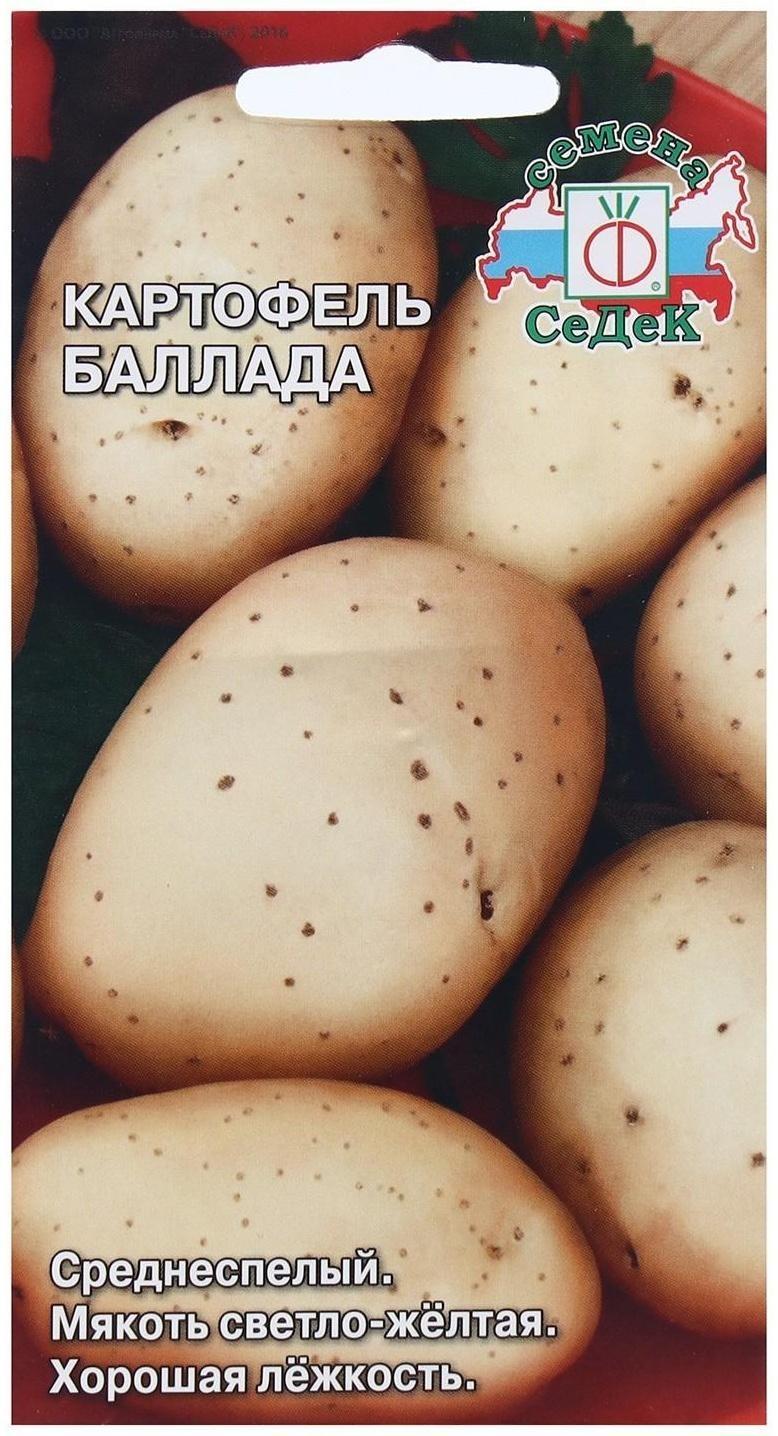 Семена Картофель  