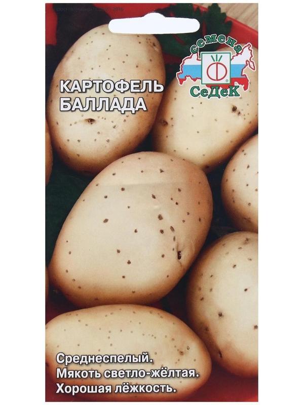 Семена Картофель  