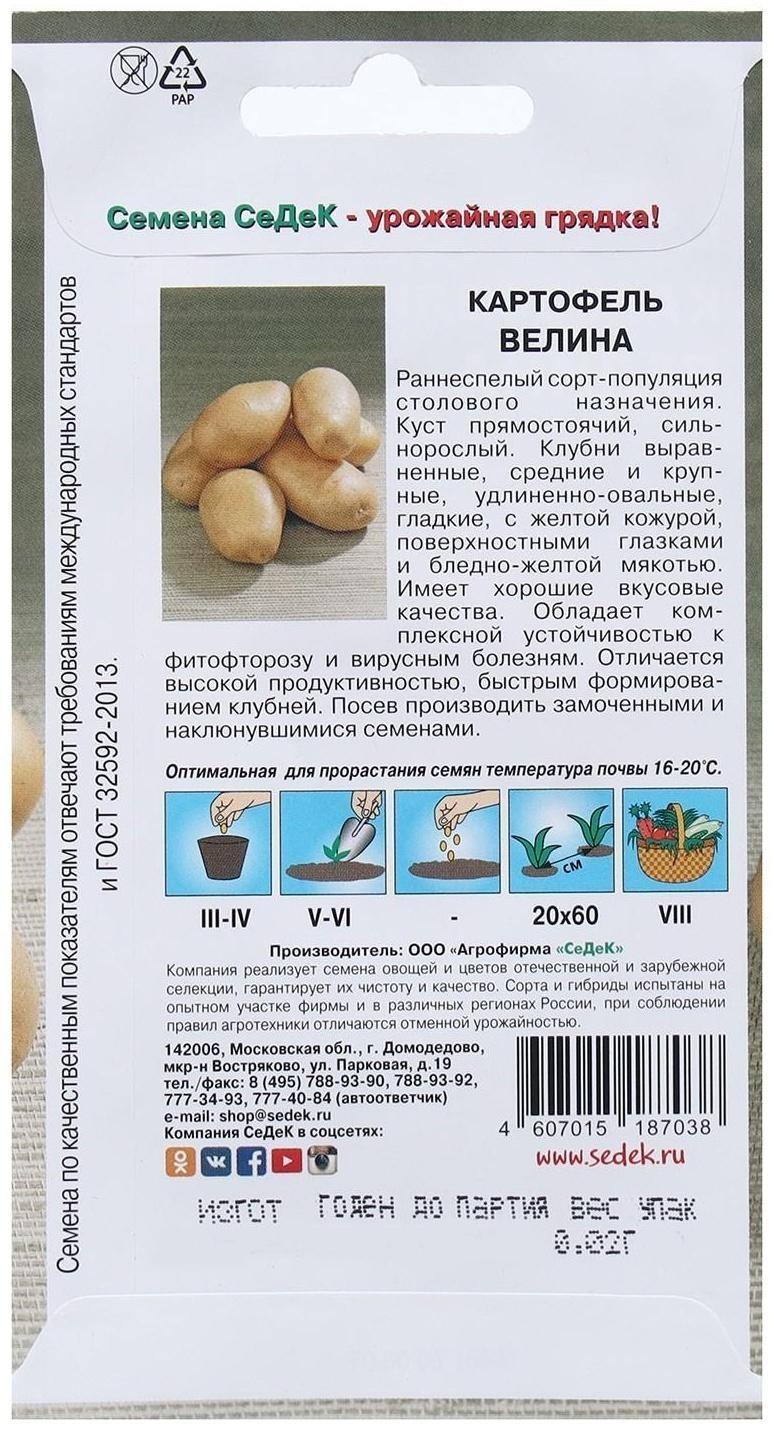 Семена Картофель  