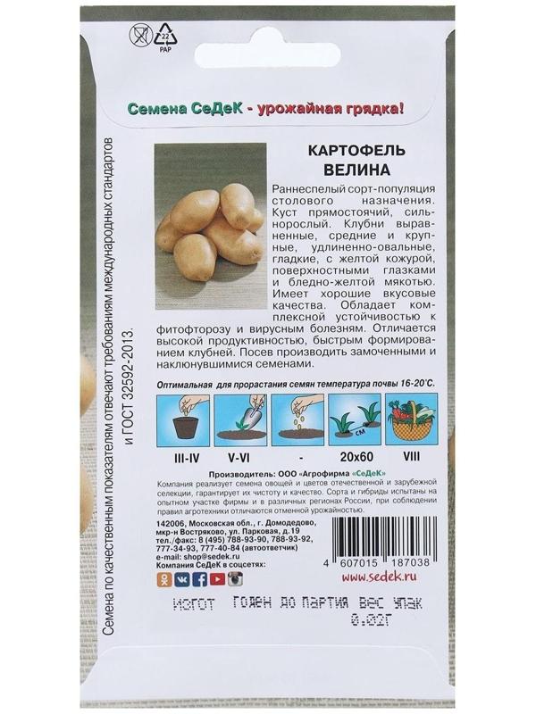 Семена Картофель  