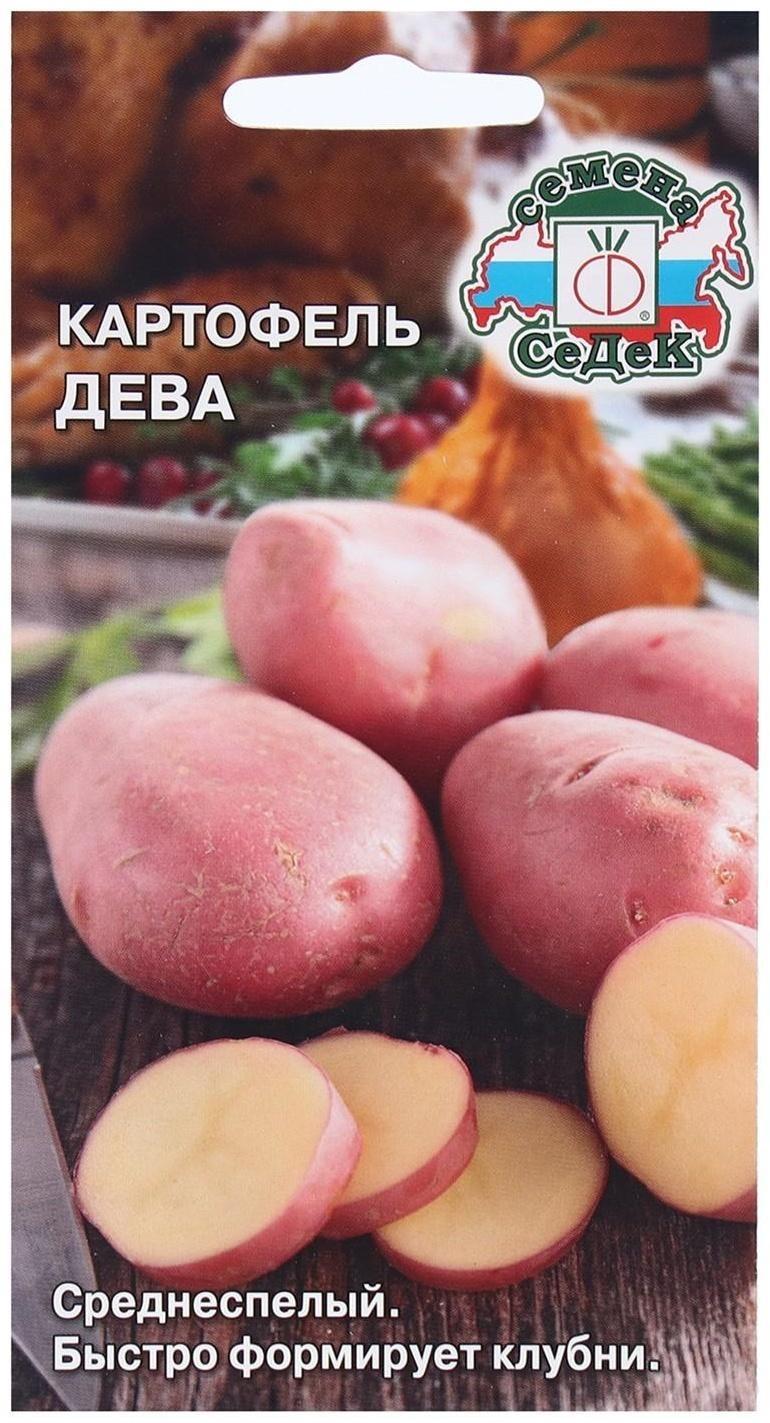 Семена Картофель  