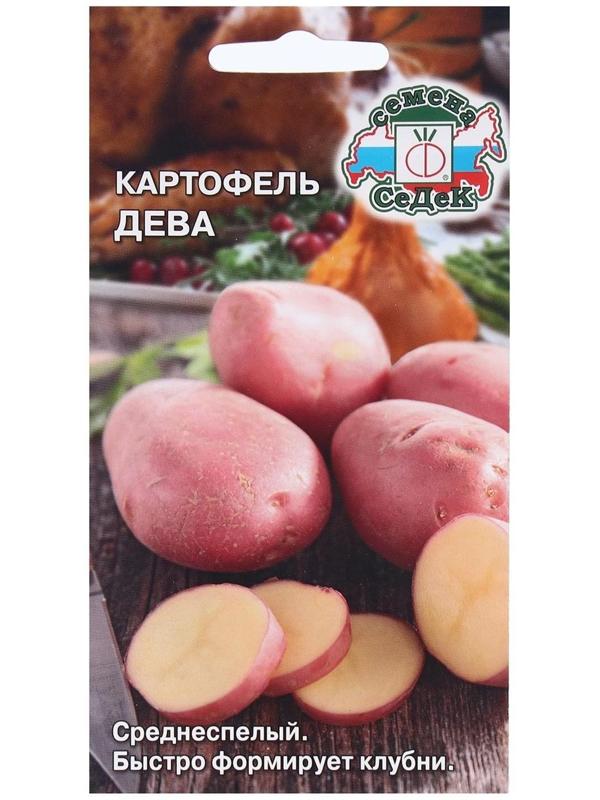 Семена Картофель  