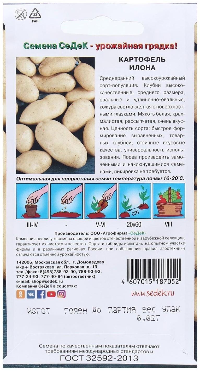 Семена Картофель  