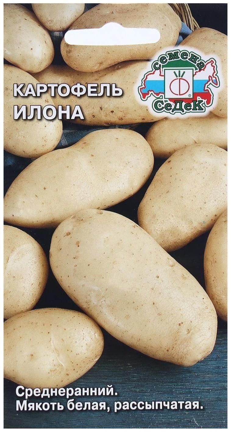 Семена Картофель  