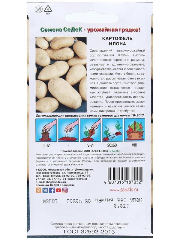 Семена Картофель  