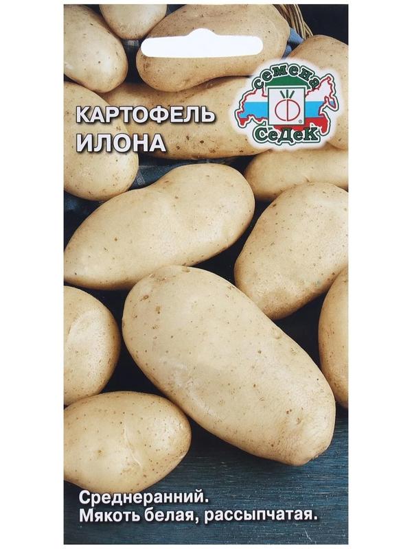 Семена Картофель  