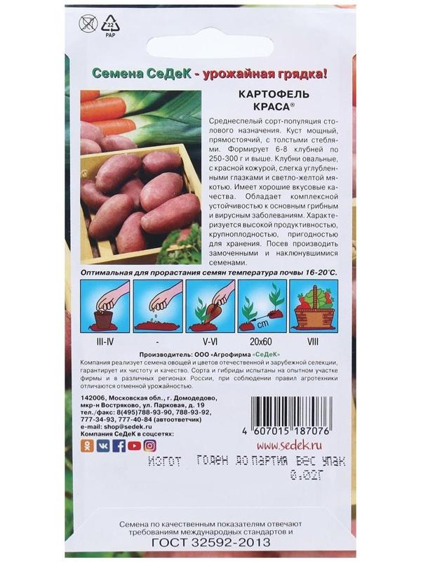 Семена Картофель  