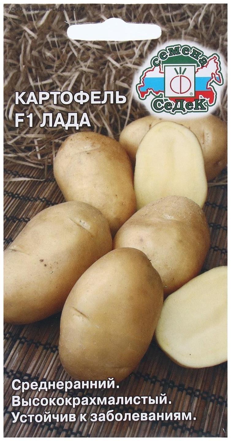 Семена Картофель  