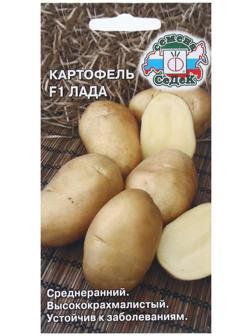 Семена Картофель  