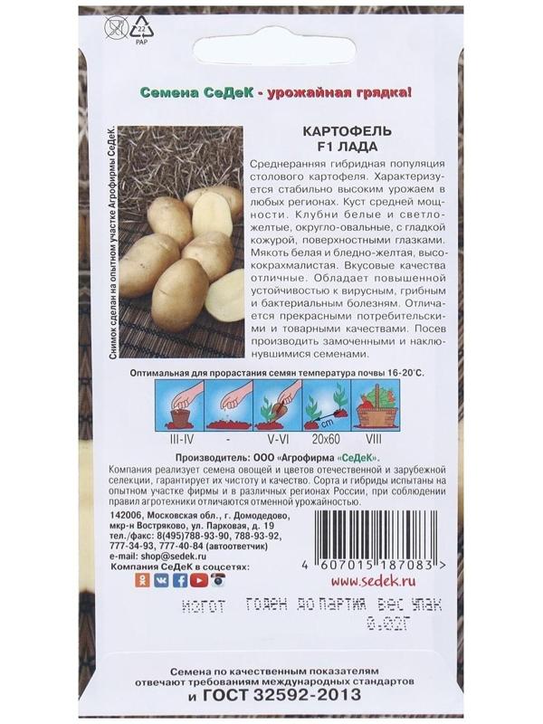 Семена Картофель  