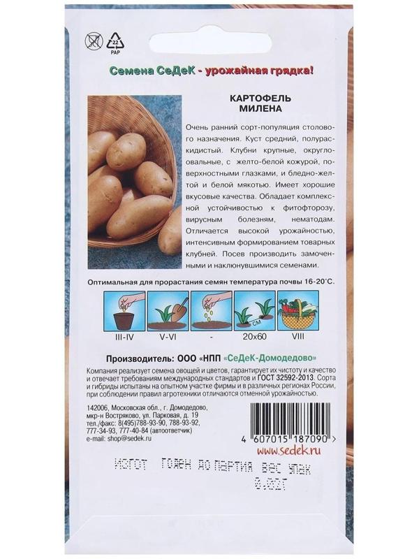 Семена Картофель  