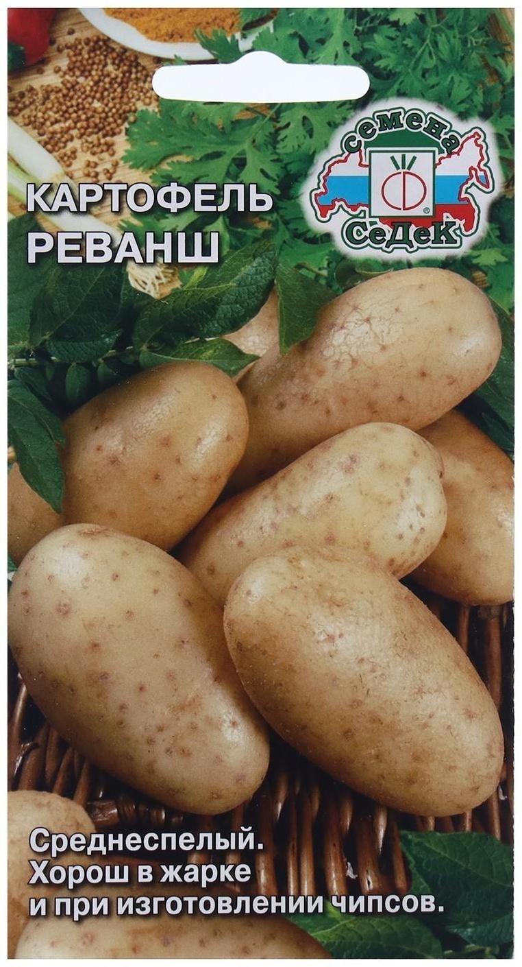 Семена Картофель  