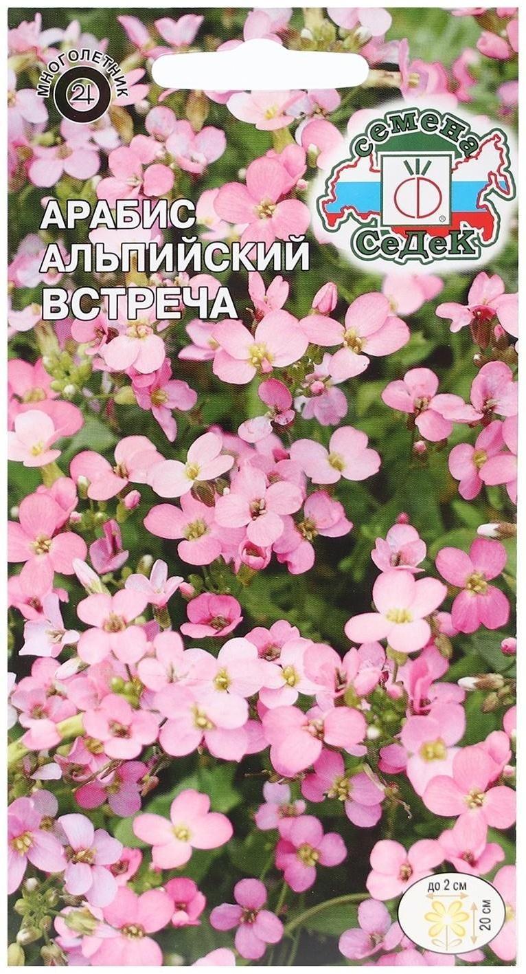 Семена цветов Арабис Встреча, альпийский, розовый, 0,1 г