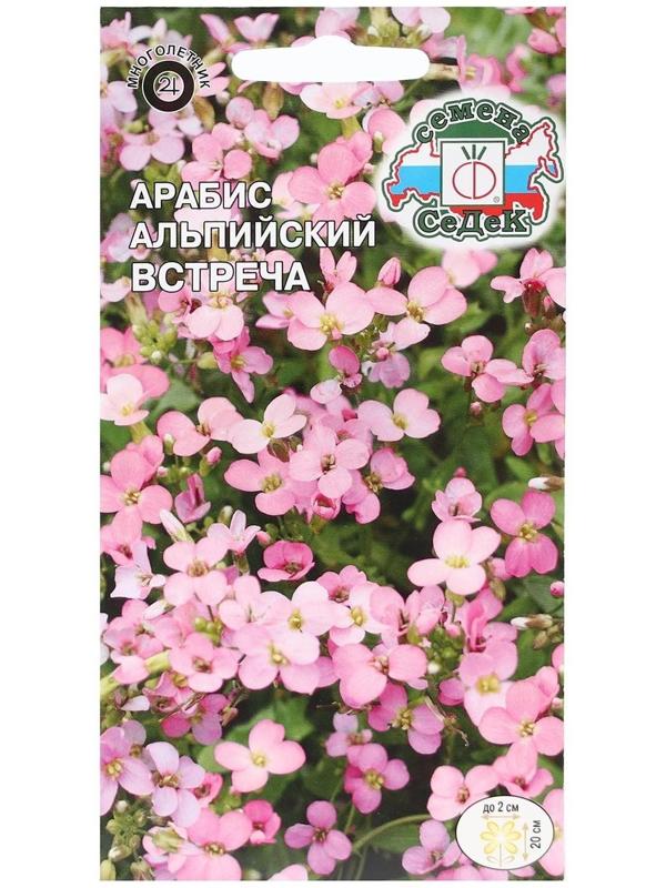 Семена цветов Арабис Встреча, альпийский, розовый, 0,1 г