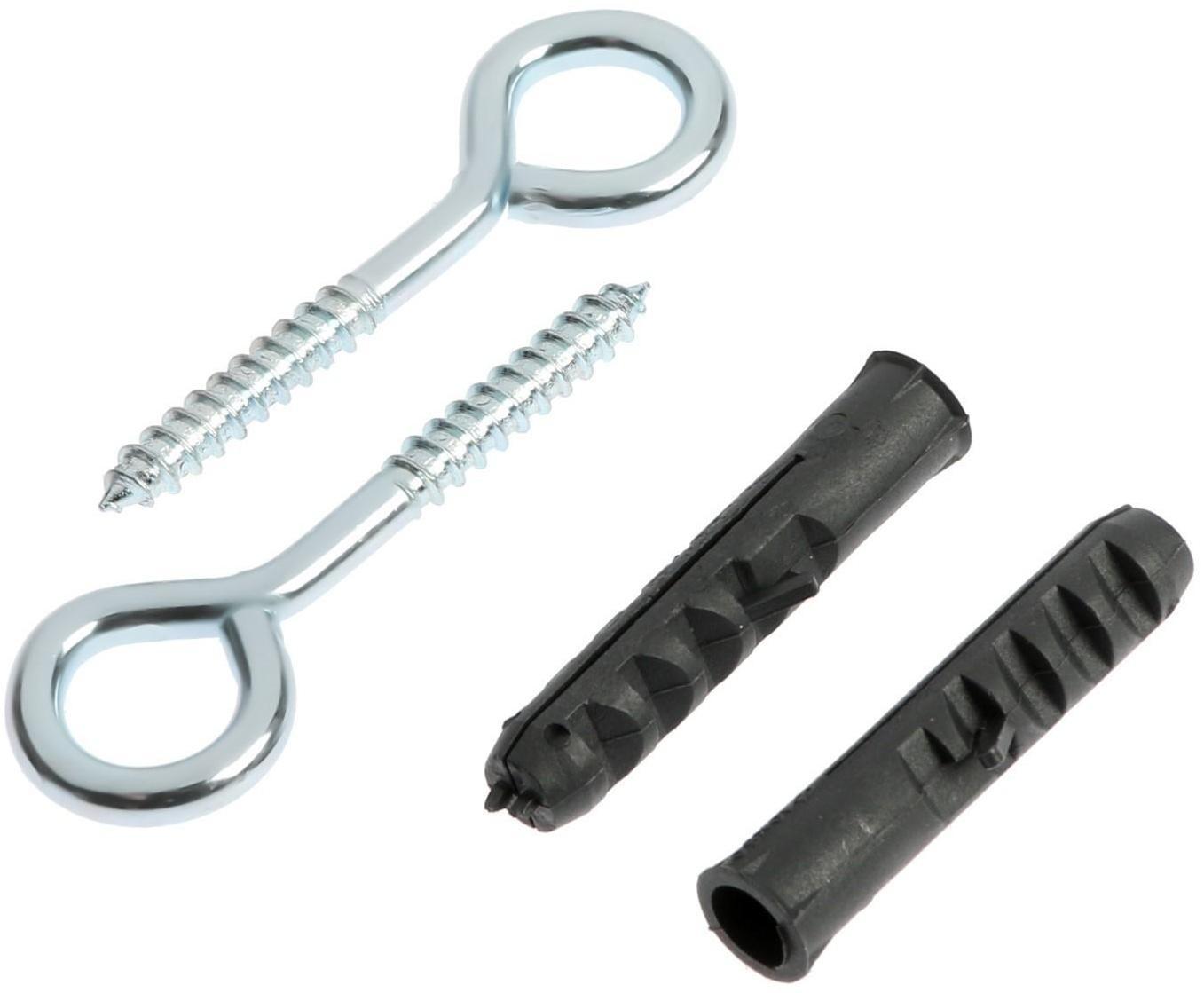 Шуруп-Кольцо с дюбелем, ТУНДРА, 10 мм 2 шт