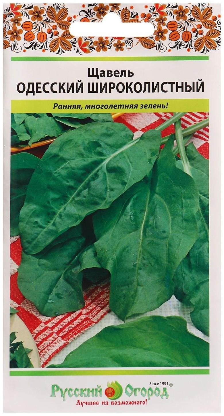 Семена Щавель Одесский широколистный 1 г