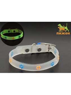 Ошейник, светящийся в темноте, 