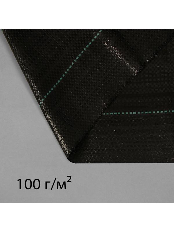 Агроткань застилочная, с разметкой, 10 × 3,2 м, плотность 100 г/м², полипропилен, чёрная