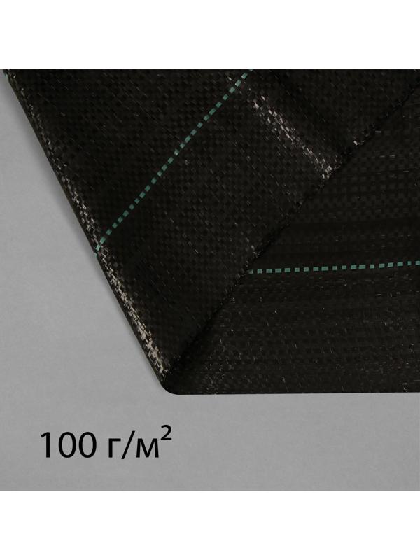 Агроткань застилочная, с разметкой, 5 × 3,2 м, плотность 100 г/м², полипропилен, чёрная