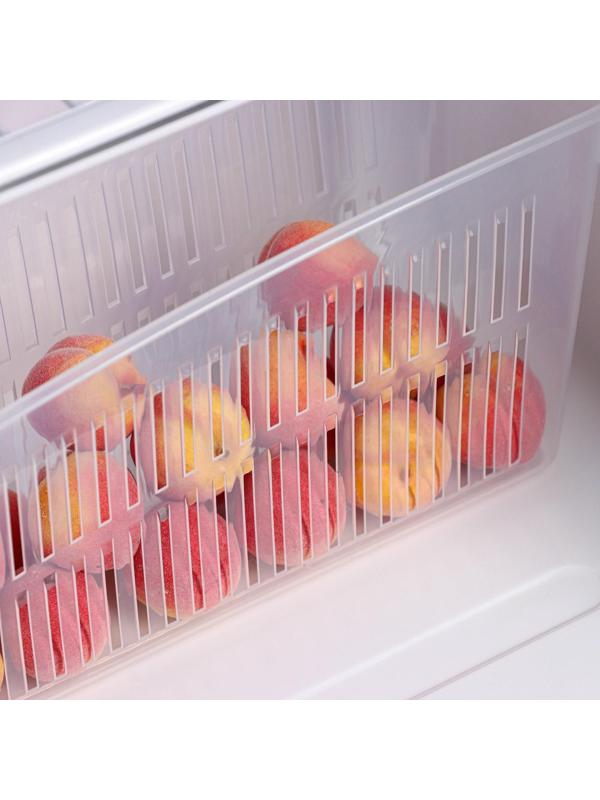 Контейнер для холодильника, 24,5×9,5×14 см, цвет прозрачный