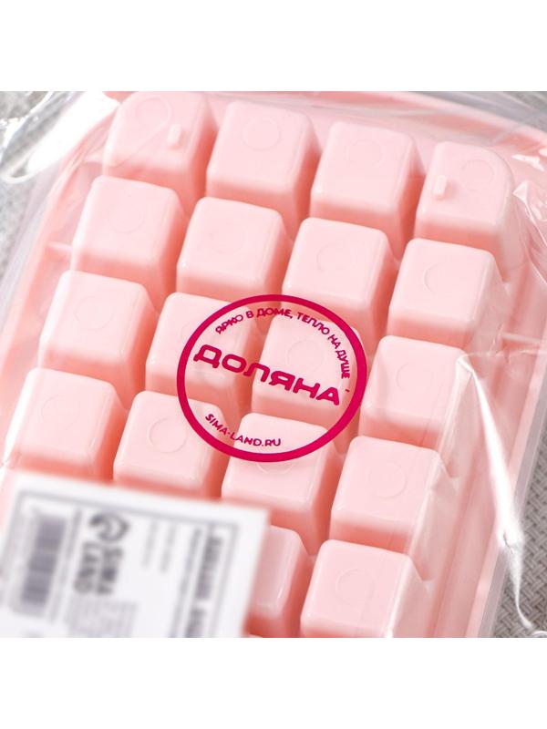 Форма для льда и шоколада с крышкой Доляна, 48 ячеек, 27×9,5×2,7 см, 1,5×1,5×1,5 см, цвет МИКС