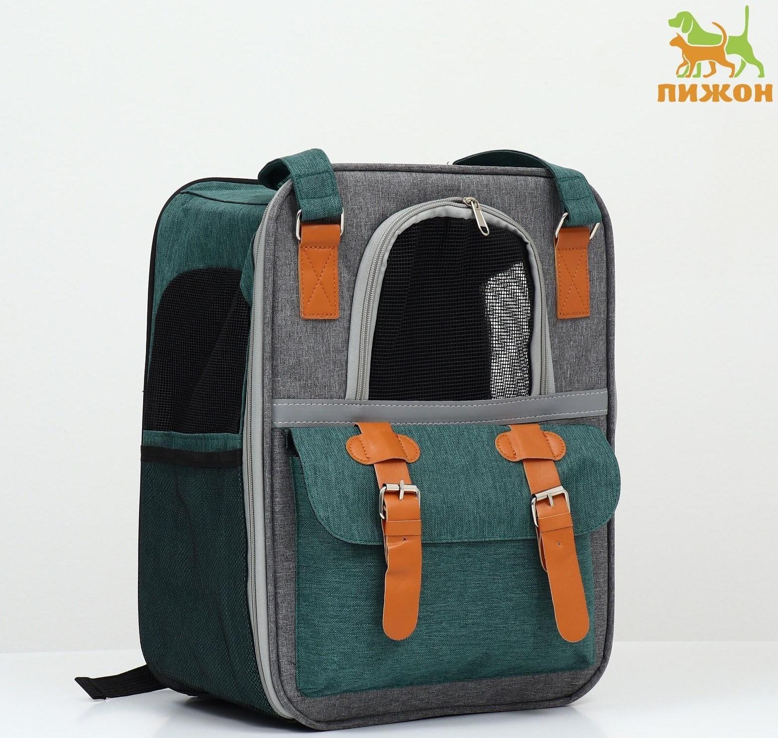 Рюкзак-переноска для животных, 52 х 22 х 41 см, зелёный