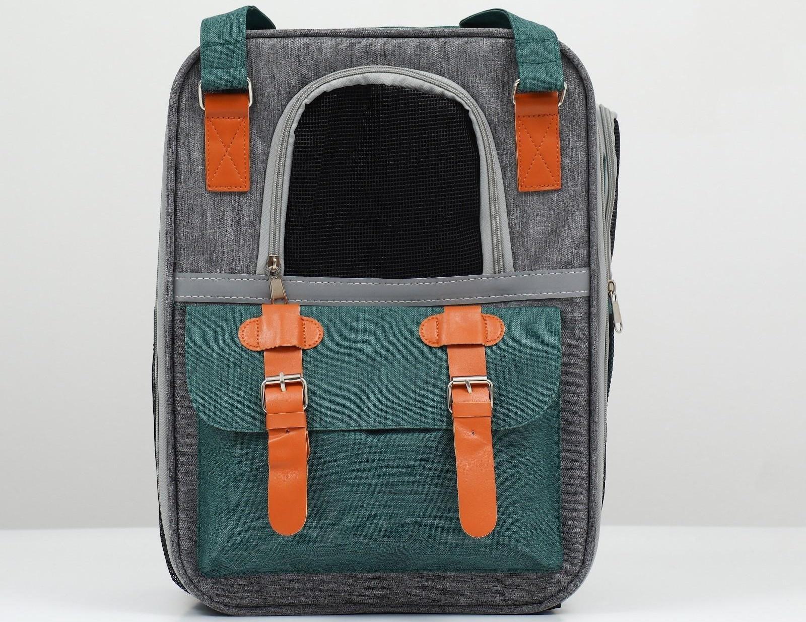 Рюкзак-переноска для животных, 52 х 22 х 41 см, зелёный