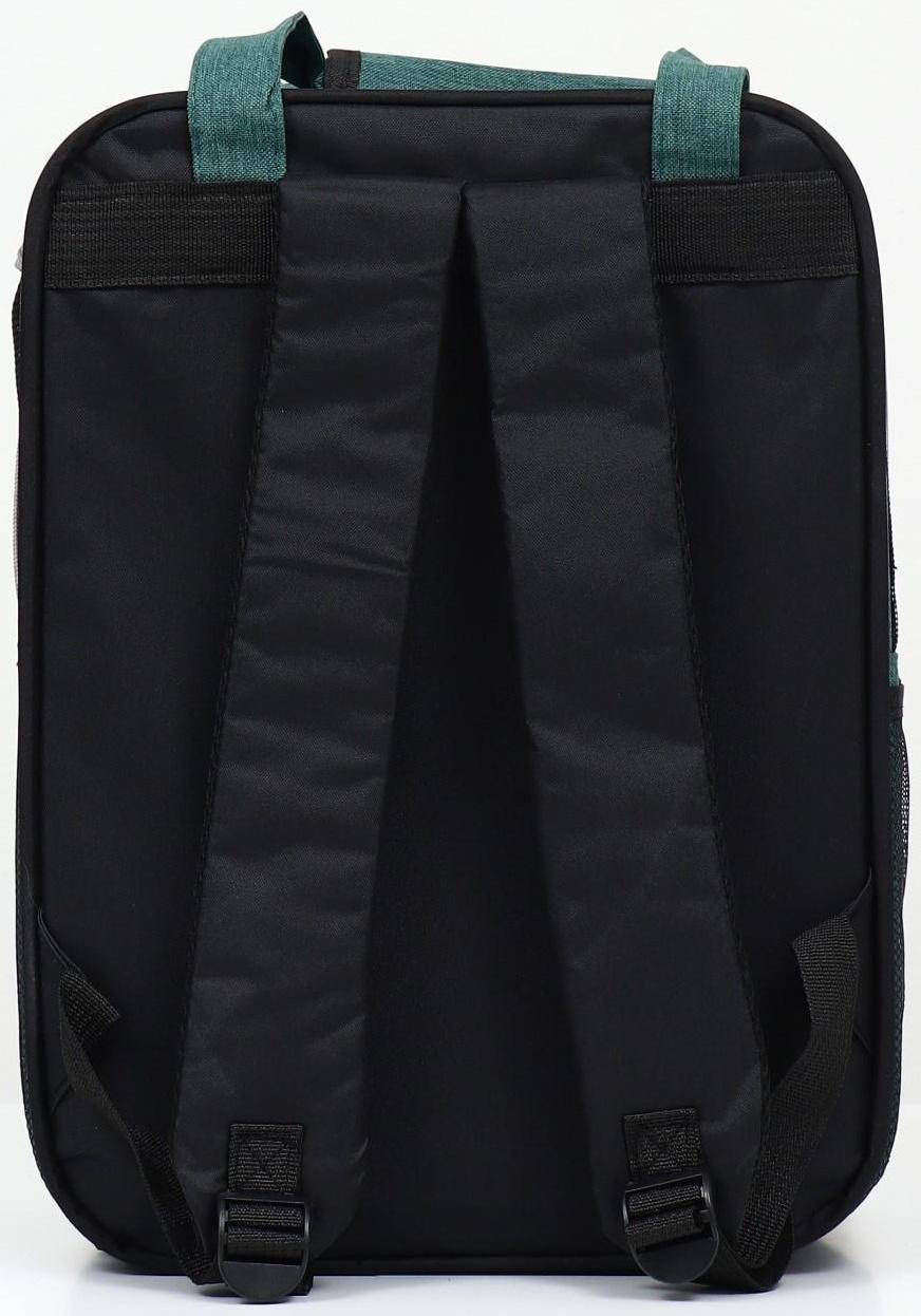 Рюкзак-переноска для животных, 52 х 22 х 41 см, зелёный