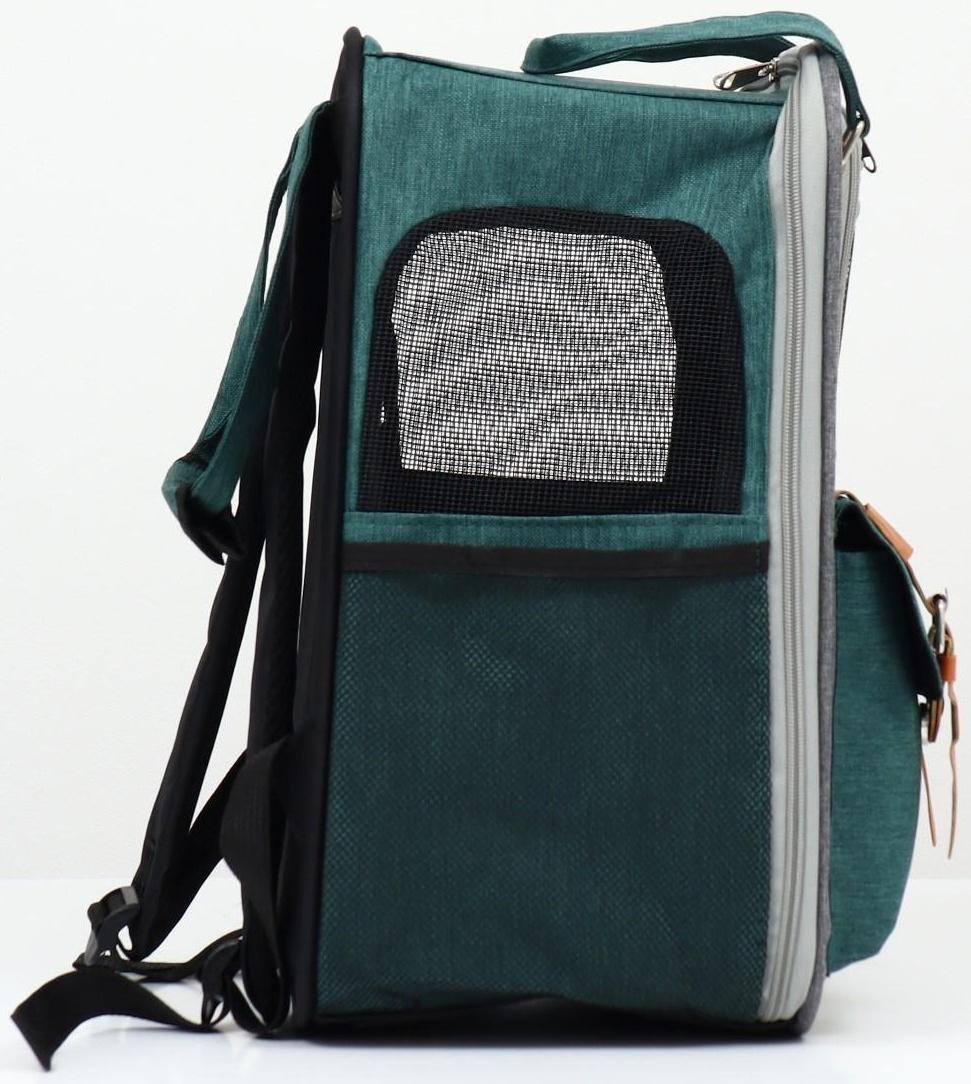 Рюкзак-переноска для животных, 52 х 22 х 41 см, зелёный