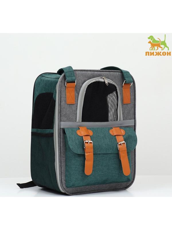 Рюкзак-переноска для животных, 52 х 22 х 41 см, зелёный