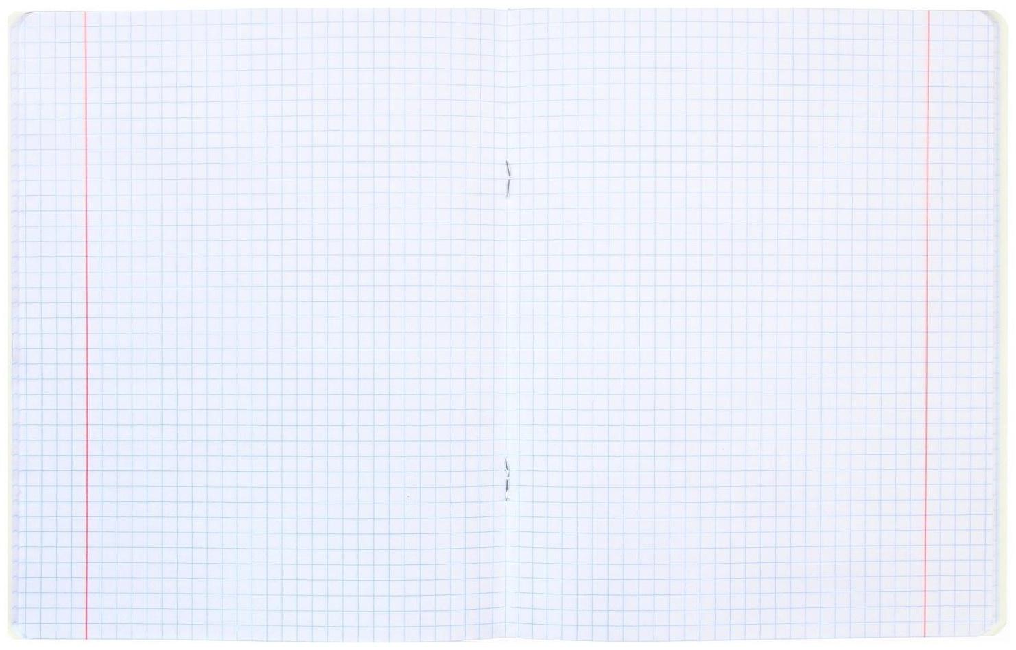 Тетрадь 48 листов в клетку Flowering, обложка мелованный картон, блок офсет 65 г/м2 / Микс 1 шт.