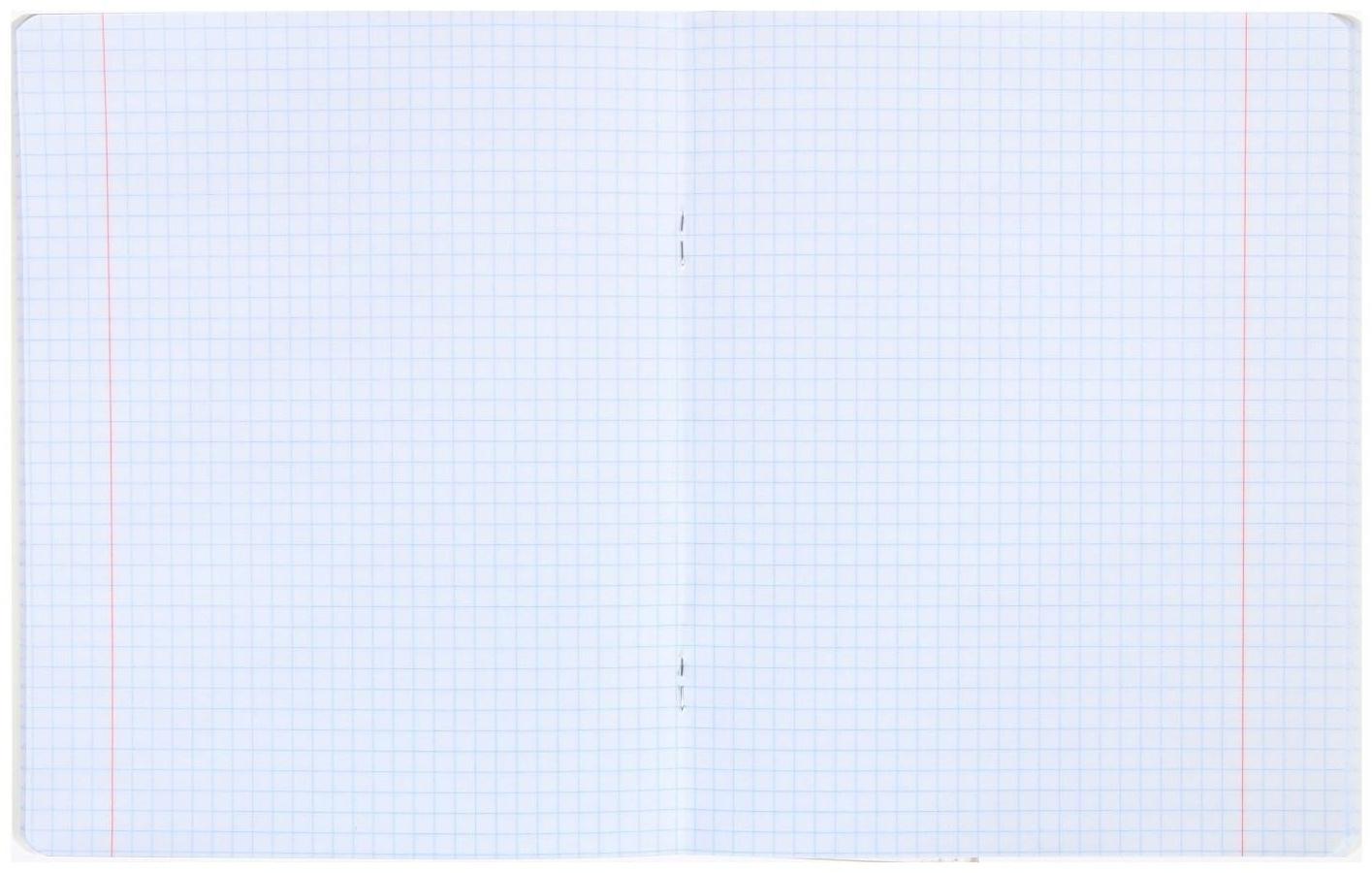 Тетрадь 48 листов в клетку 