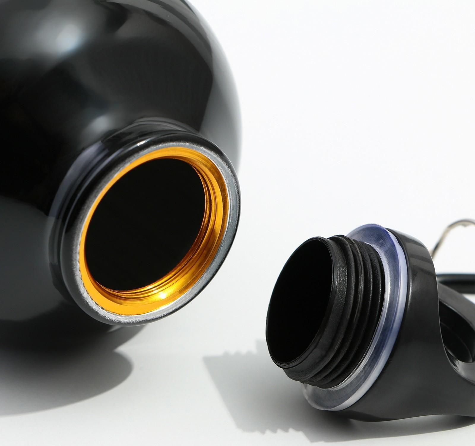 Бутылка для воды «Весь мир», 500 мл