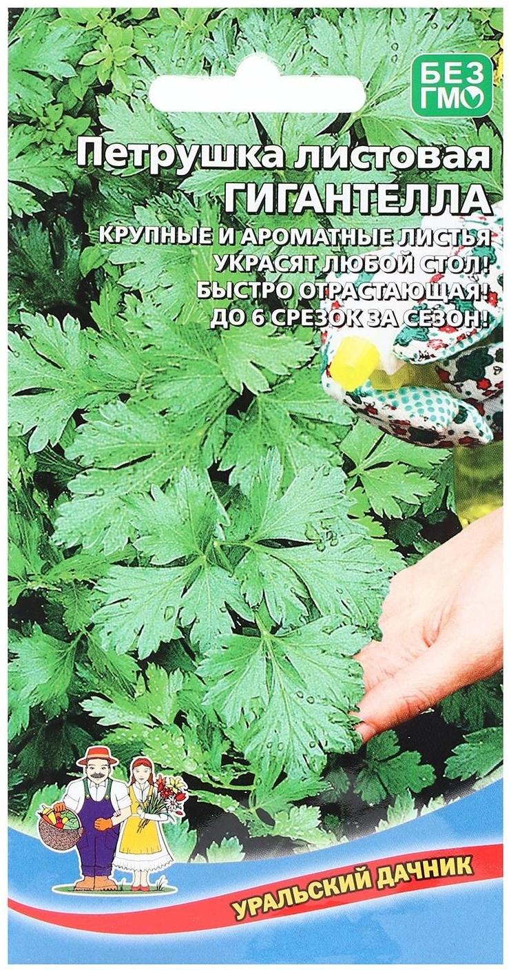 Семена Петрушка 