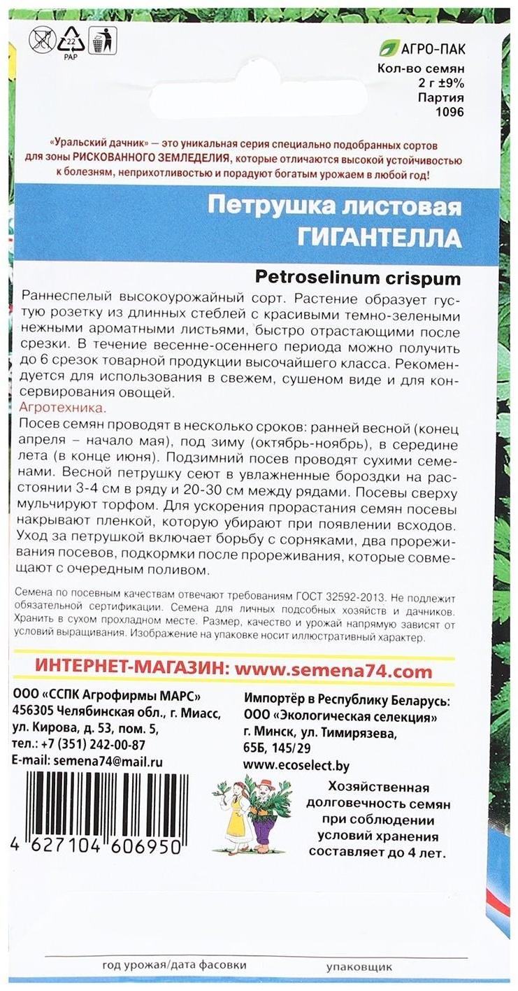 Семена Петрушка 