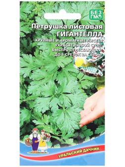 Семена Петрушка 