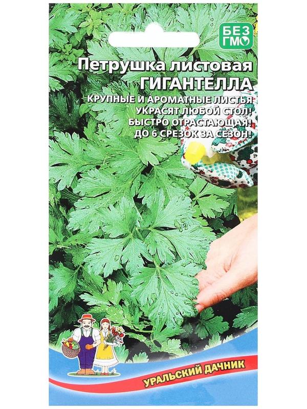 Семена Петрушка 