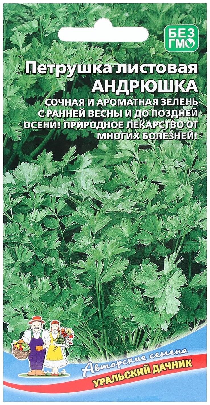 Семена Петрушка 